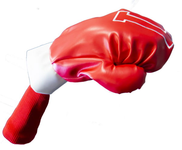 Longridge Boxing Gloves Wood Cover