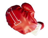 Longridge Boxing Gloves Wood Cover