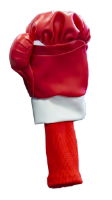 Longridge Boxing Gloves Wood Cover